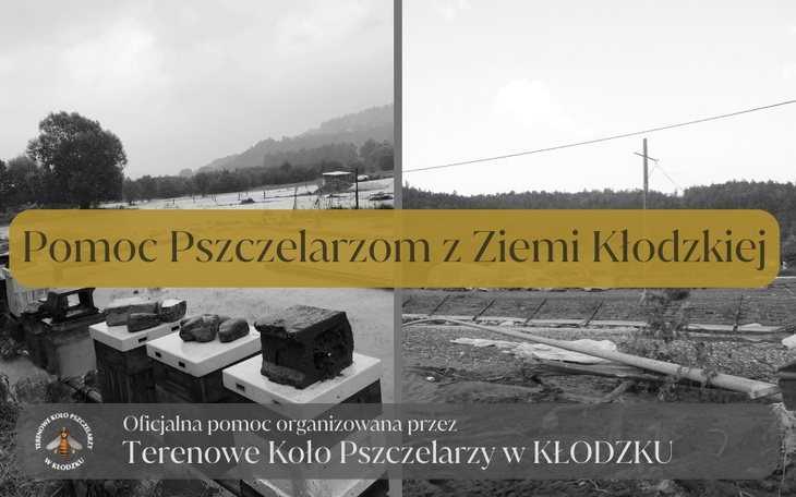 Pomoc dla pszczelarzy z Ziemi Kłodzkiej.