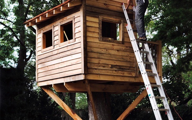 Zbiórka Domek na drzewie - zdjęcie główne