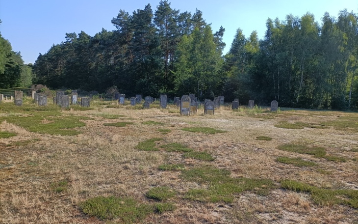 Zbiórka Nie pozwól zostać nam Bezdomnym - zdjęcie główne