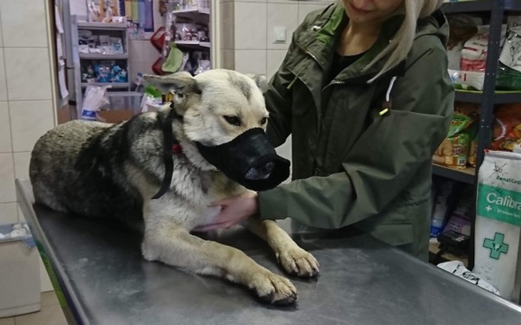 Zbiórka Sunia z pola - zdjęcie główne