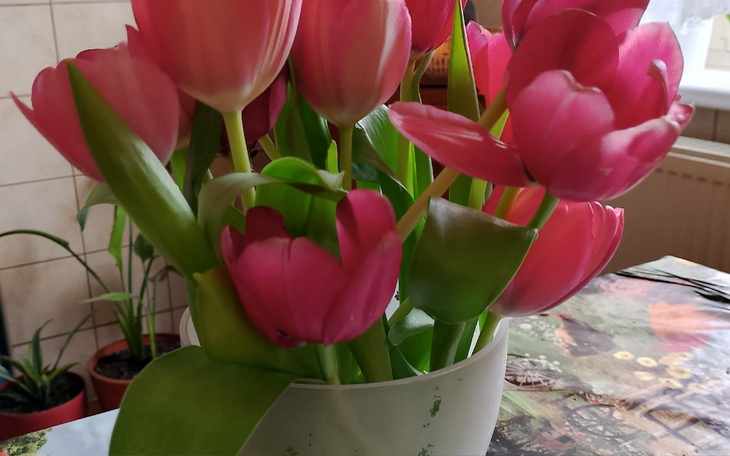 Zbiórka Przetrwać do jutra - zdjęcie główne