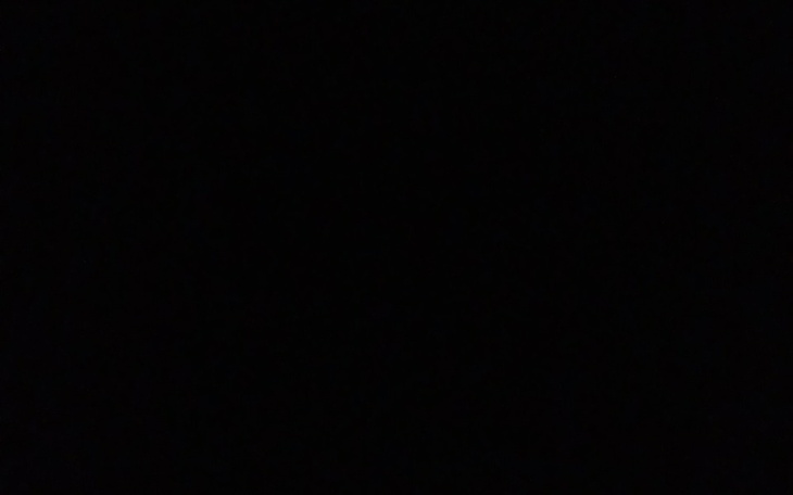 Zbiórka Na jedzenie dla piesków - zdjęcie główne