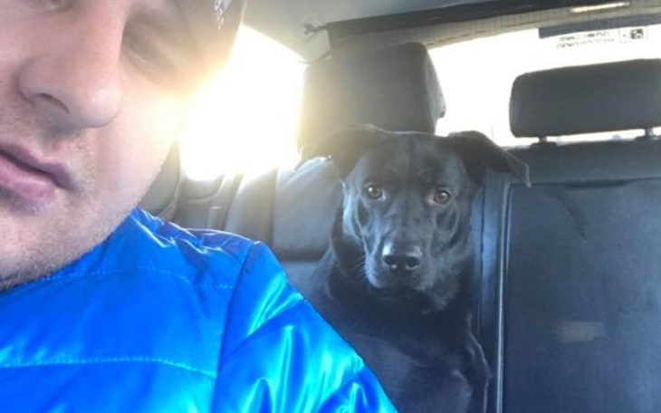 Zbiórka Nowe łapki dla Burgera! - zdjęcie główne