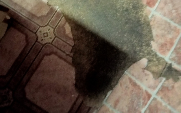 Zbiórka Agnieszka Nowak - zdjęcie główne