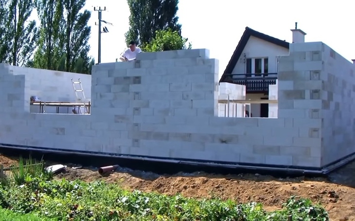 Zbiórka Cegiełka do Psiego raju - zdjęcie główne