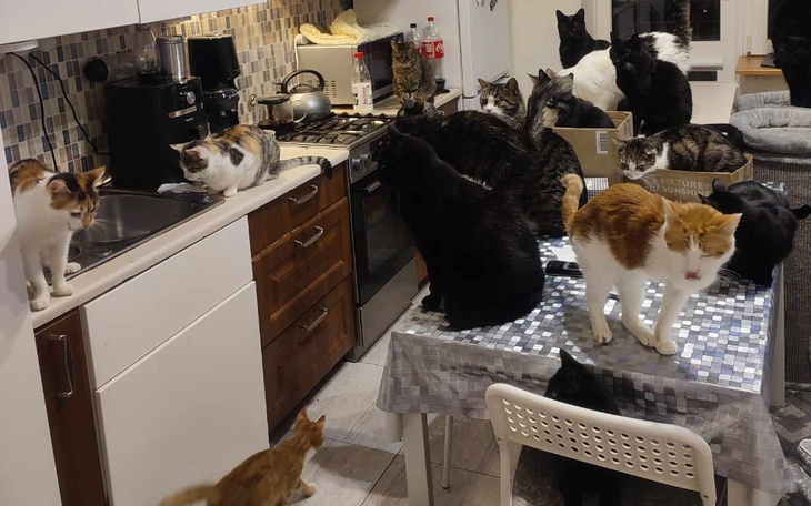 Zbiórka Zostań ich Mikołajem - zdjęcie główne