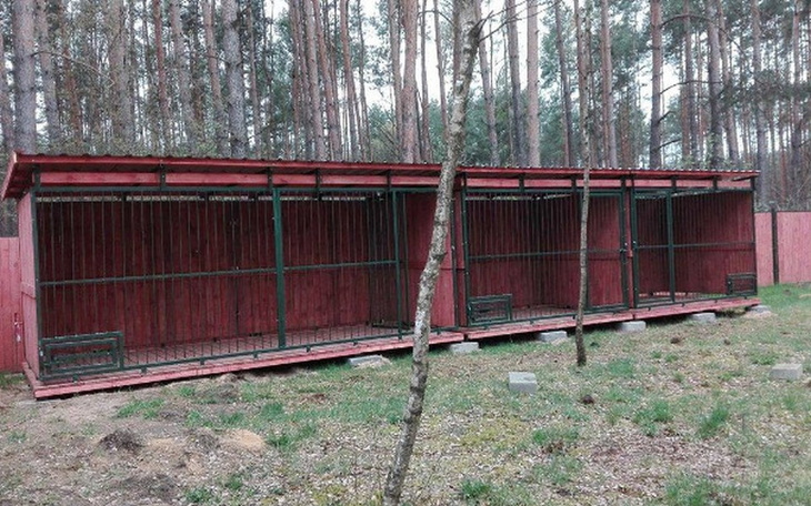 Zbiórka Kojce dla psów-pilnie potrzebne! - zdjęcie główne