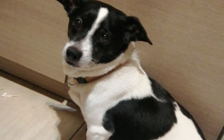 Zbiórka Maksio i rak - zdjęcie główne