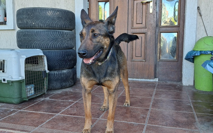 Zbiórka Thelma jedzie do domu - zdjęcie główne