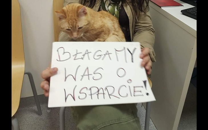 Zbiórka To jest już koniec - zdjęcie główne