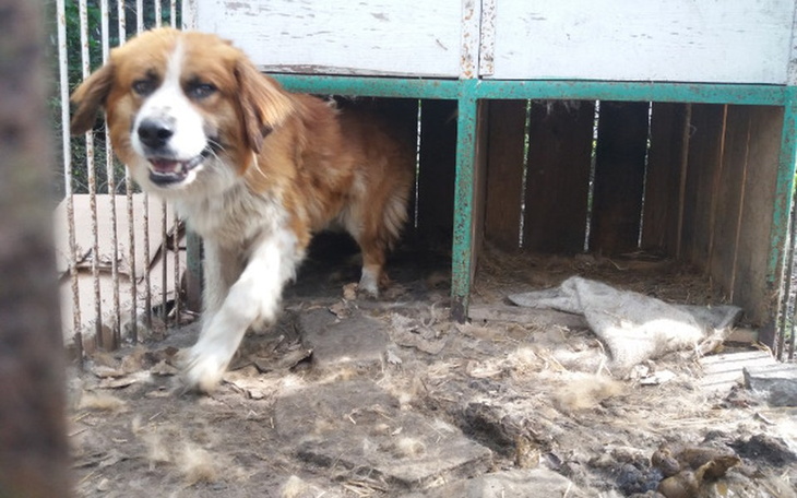 Zbiórka Miał być sprzedany za flaszkę. - zdjęcie główne