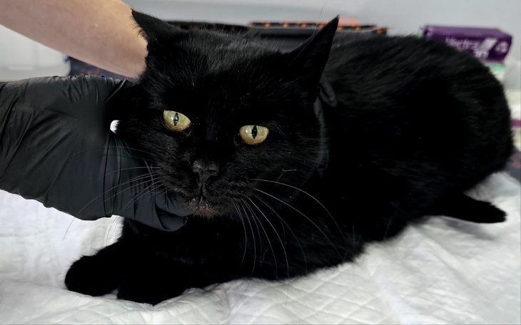 Zbiórka Dobrusia - zdjęcie główne