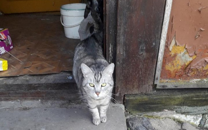 Zbiórka Pomagamy i chcemy pomagać dalej - zdjęcie główne