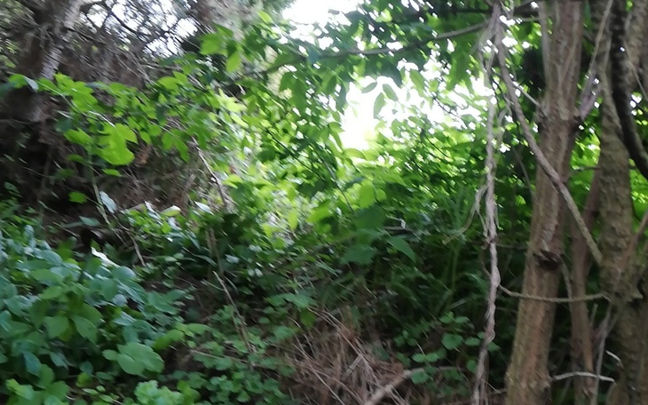 Zbiórka Hajs2919 - zdjęcie główne