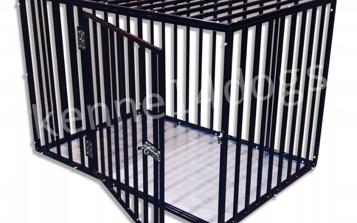 Zbiórka Klatka kennel i nowe życie Dina - zdjęcie główne