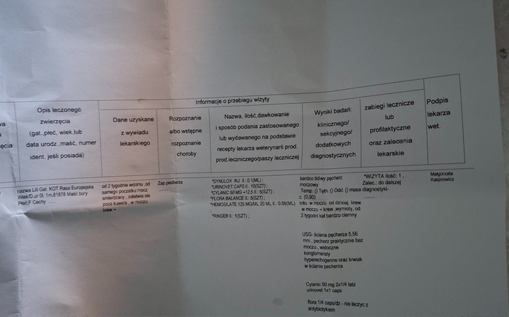Dokument medyczny z informacjami o leczeniu zwierzęcia.