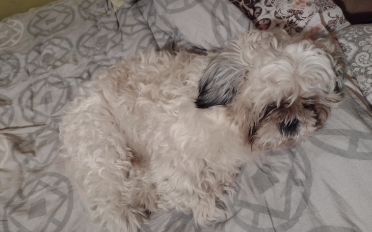 Zbiórka Nowe życie spłata długu - zdjęcie główne