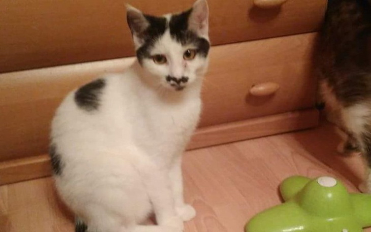 Zbiórka Usg na CITO - zdjęcie główne