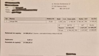 Zbiórka Prosimy o pomoc - miniaturka zdjęcia