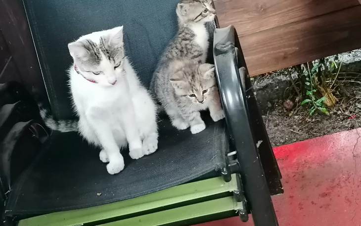 Zbiórka Zbiórka na wydatki nastolatka. - zdjęcie główne