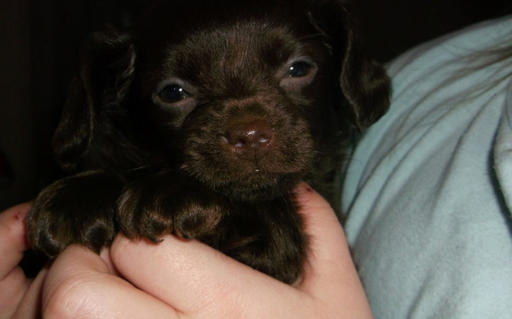 Zbiórka pomoc dla Kajtka - zdjęcie główne