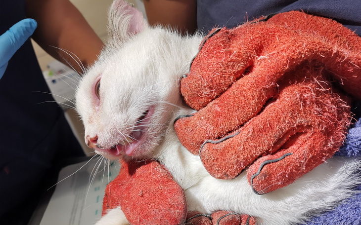 Zbiórka Trudne wizyty starszego Maćka - zdjęcie główne