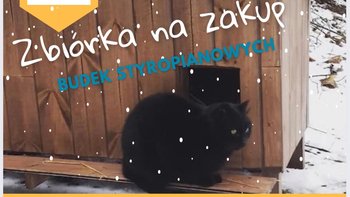 Zbiórka Na budki dla kotów wolnożyjących - miniaturka zdjęcia