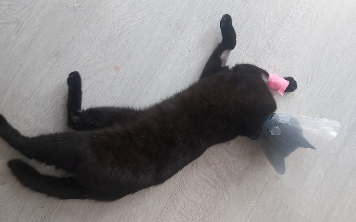 Zbiórka Koszty leczenia Stefana - zdjęcie główne