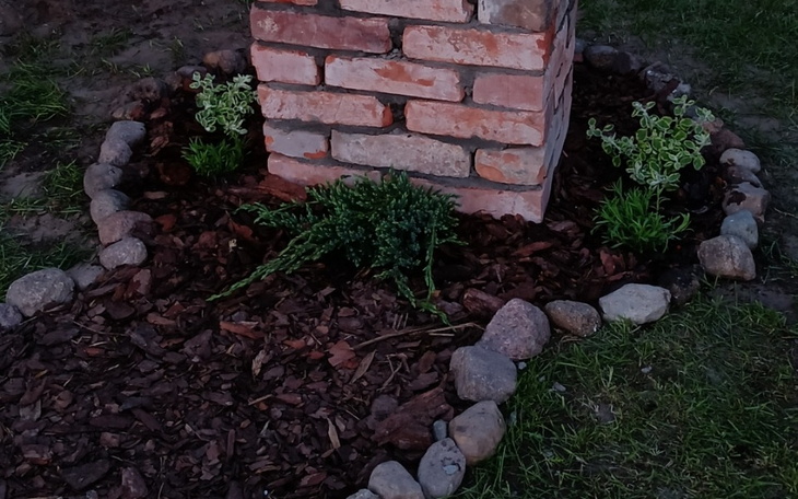 Zbiórka Udekorowanie terenu koło kaplicy - zdjęcie główne