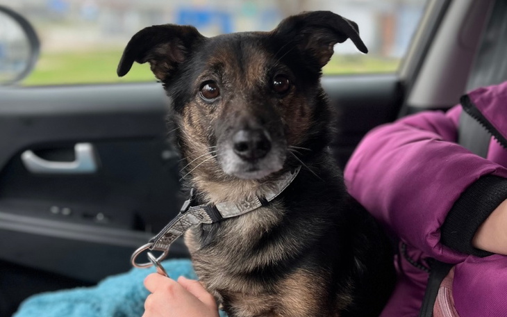 Zbiórka Nowy start po śmierci opiekuna - zdjęcie główne