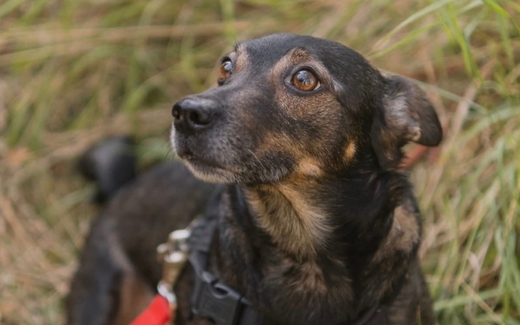 Obrazek ilustrujący wsparcie dla osób w potrzebie.