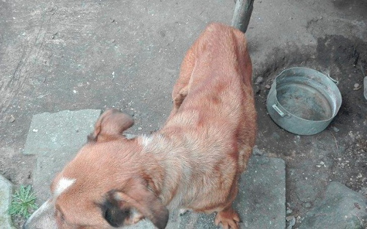 Zbiórka Roksi - zdjęcie główne