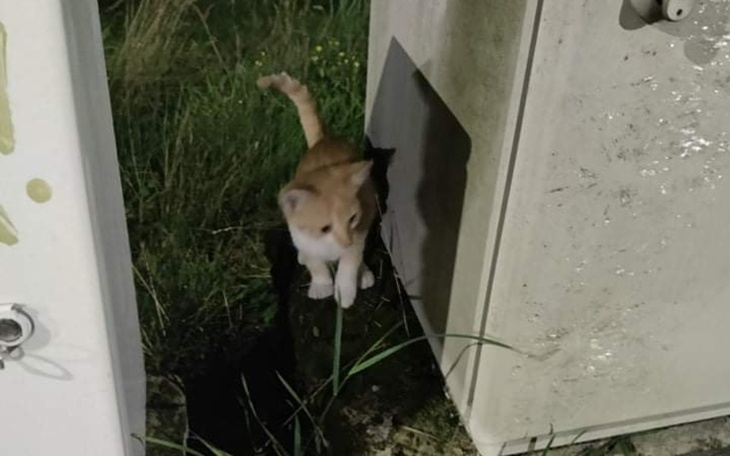 Zbiórka Porzucony w nocy - zdjęcie główne