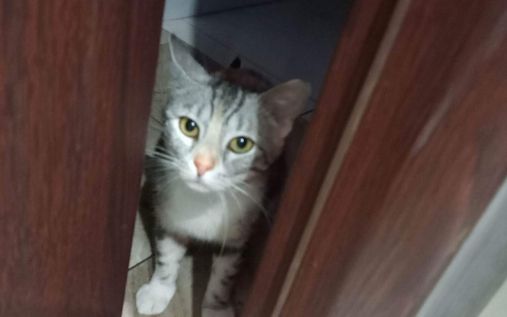 Zbiórka Chcą ja wyrzucić - transport - zdjęcie główne