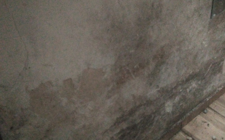 Zbiórka Bez grzyba - zdjęcie główne