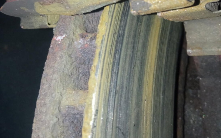 Królik otrzymujący pomoc medyczną.