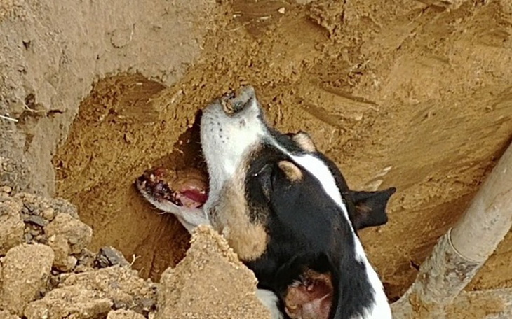 Zbiórka na komputer dla sebka - zdjęcie główne