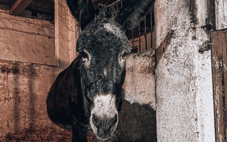 Zbiórka Za stara by kochać. - zdjęcie główne