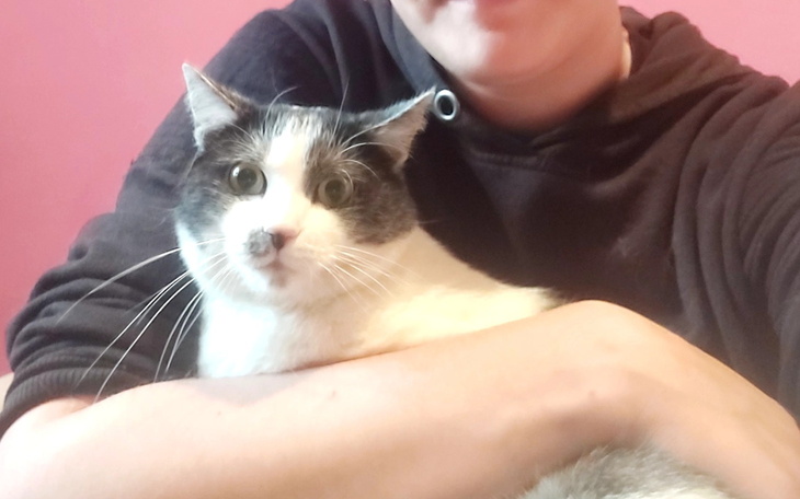 Osoba trzymająca kota na rękach.