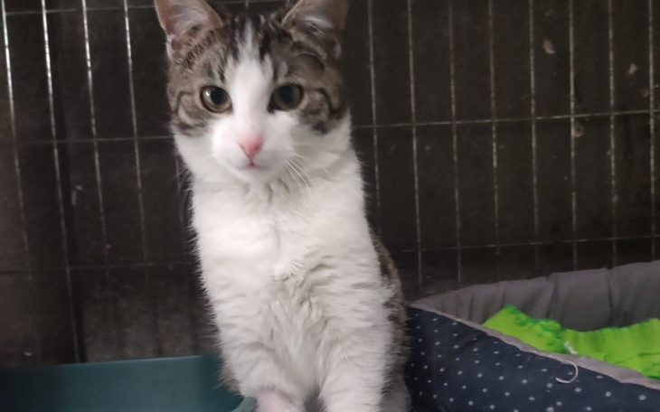 Zbiórka Białaczka zabiera Ivara.. - zdjęcie główne