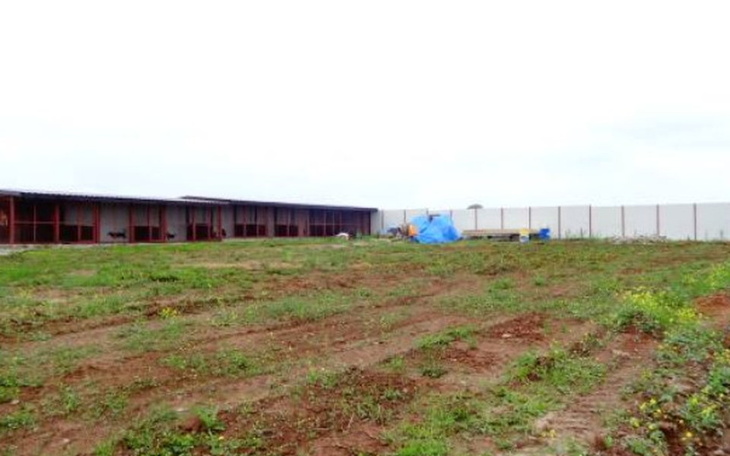 Pusty teren z budynkiem w tle, zarośnięty trawą.