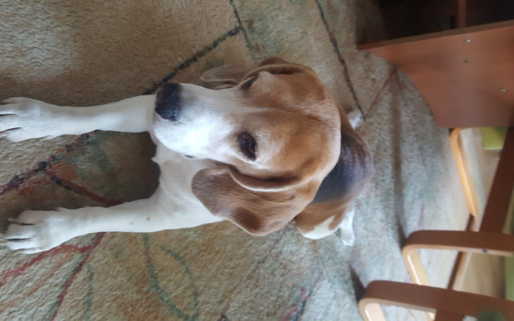 Zbiórka Wizyta lekarska leki - zdjęcie główne