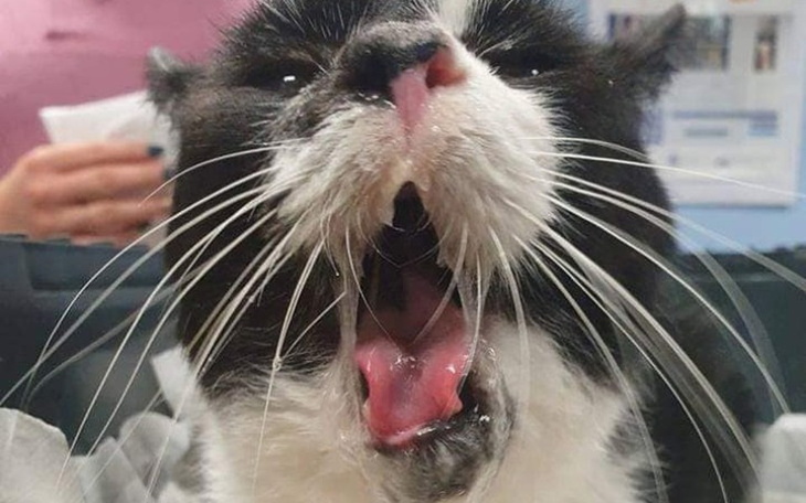 Zbiórka Nawet Śmierć nie przyszła - zdjęcie główne