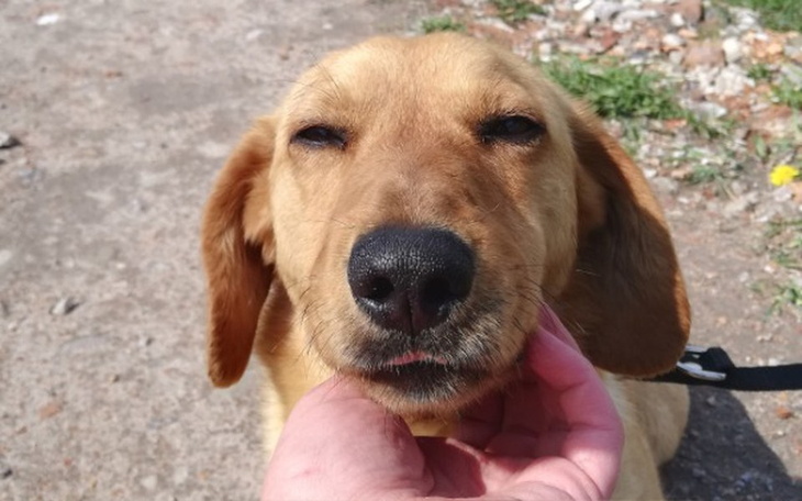 Zbiórka Wielkanocny Karmelek - zdjęcie główne