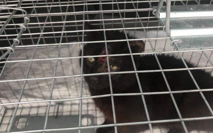 Zbiórka Nijaki skazany na śmierć - zdjęcie główne