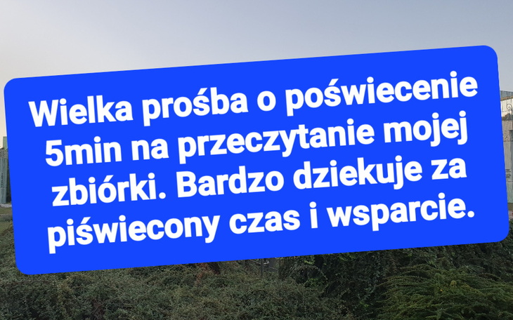 Zbiórka Wyjście i powrót na prostą. - zdjęcie główne