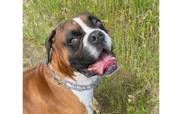 Zbiórka Operacja Alvina - zdjęcie główne