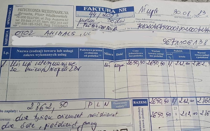 Zbiórka Pomoc w opłaceniu faktur Wet. - zdjęcie główne