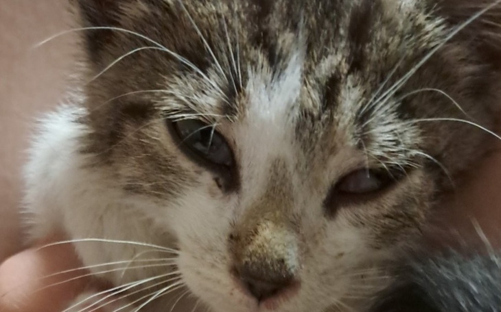 Zbiórka Na mojego Okruszka - zdjęcie główne