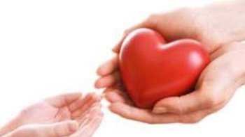 Zbiórka Zakup karmy - miniaturka zdjęcia